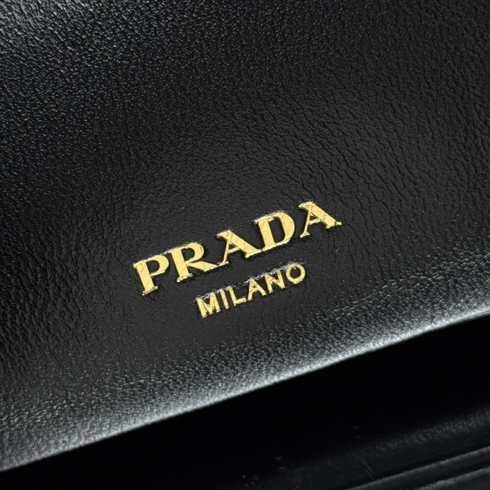 Small Prada Dada Nappa Leather Bag