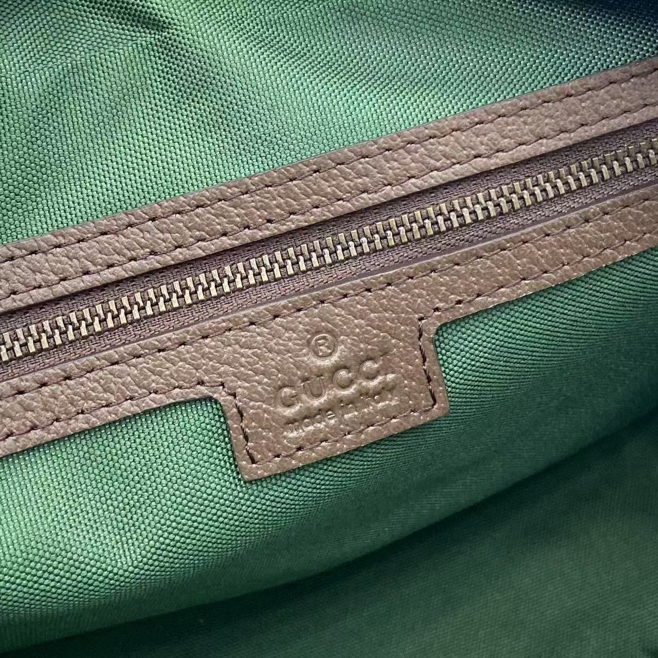 Ophidia medium crossbody bag