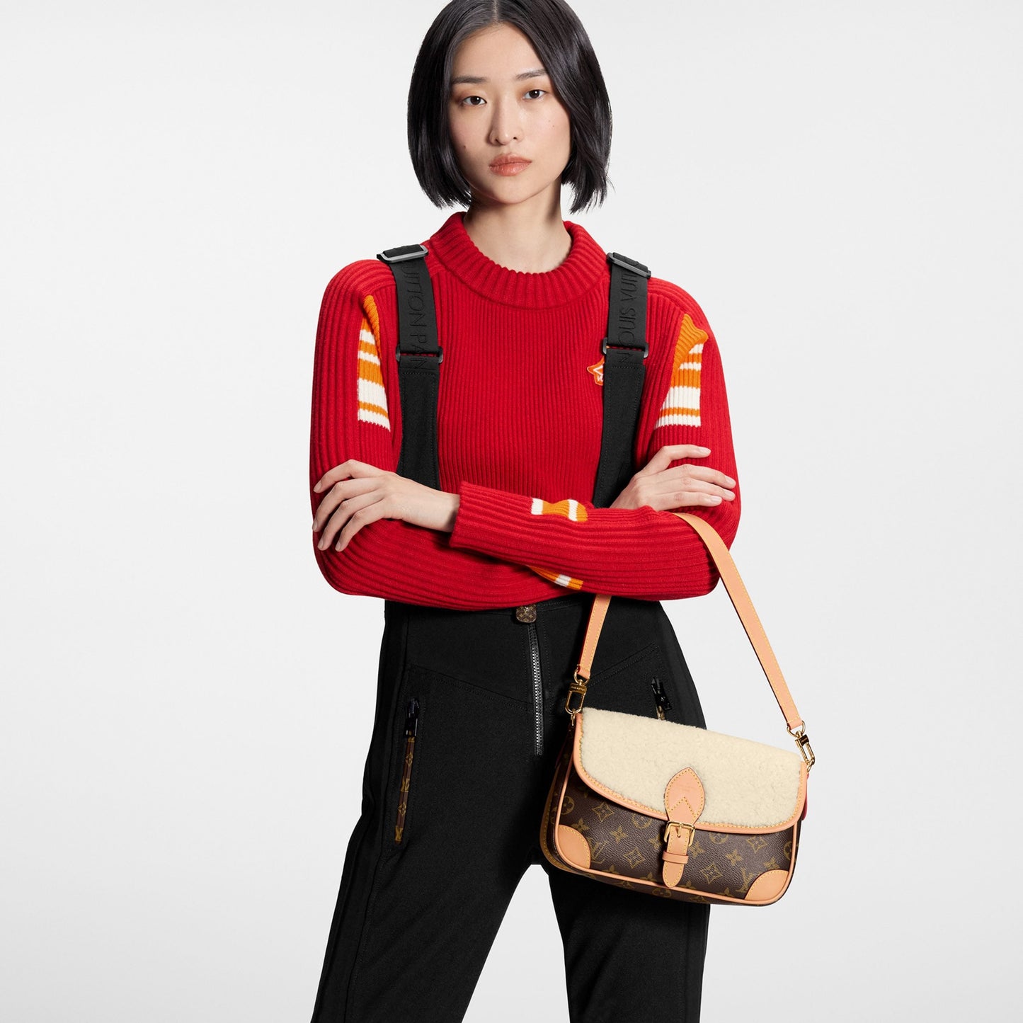 Diane Handbag M46317