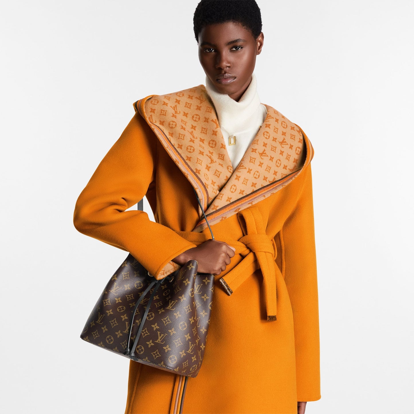 Neonoe Monogram Black M44020