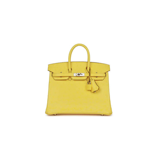 Birkin Bag 25