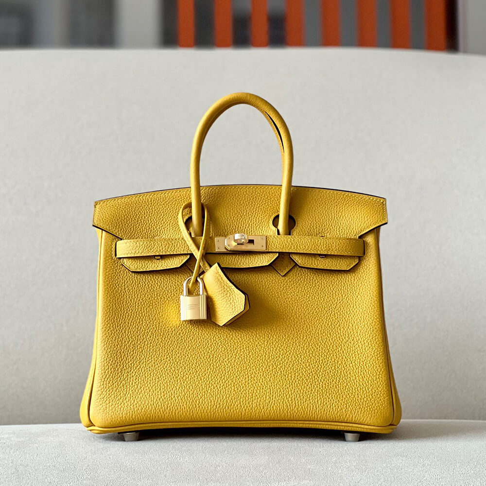 Birkin Bag 25