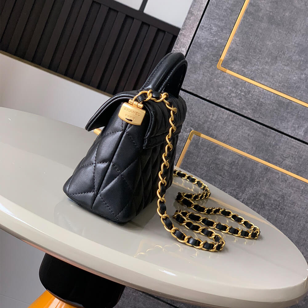 Mini Flap Bag with Top Handle