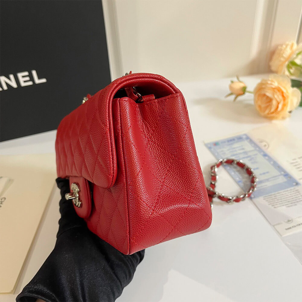 Mini Flap Bag
