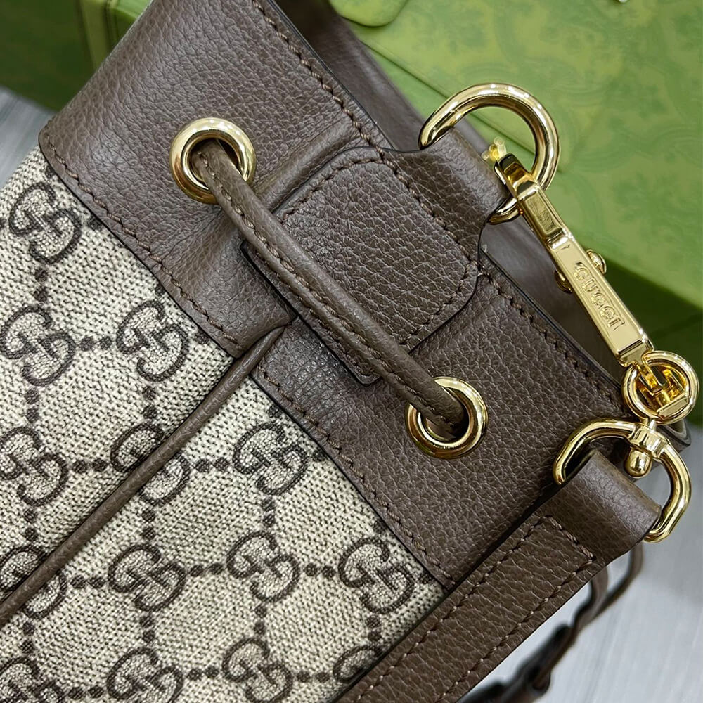 Ophidia small bucket bag