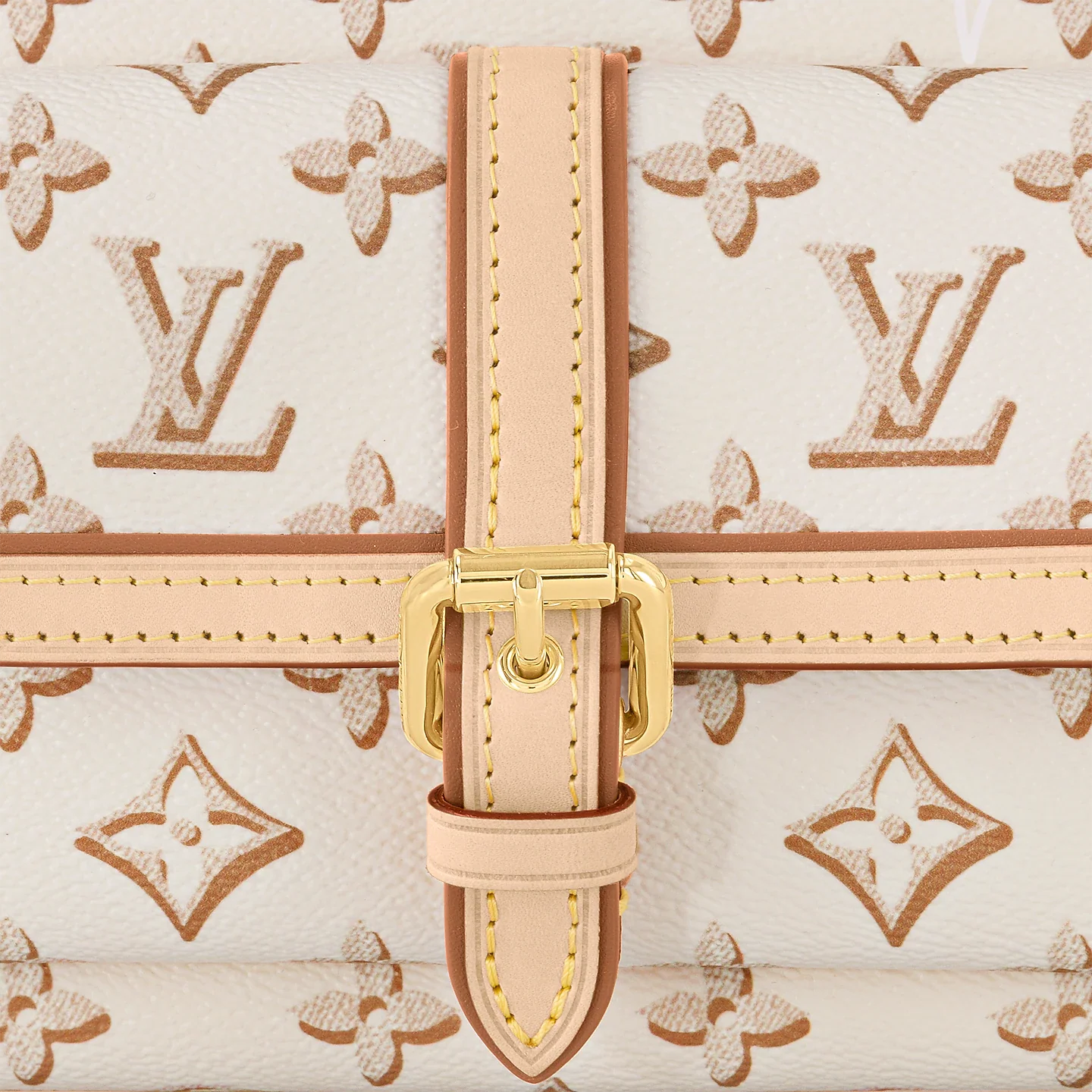 M20920 Maxi Pochette Accessoires